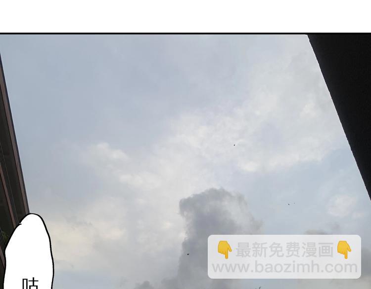 48.jpg