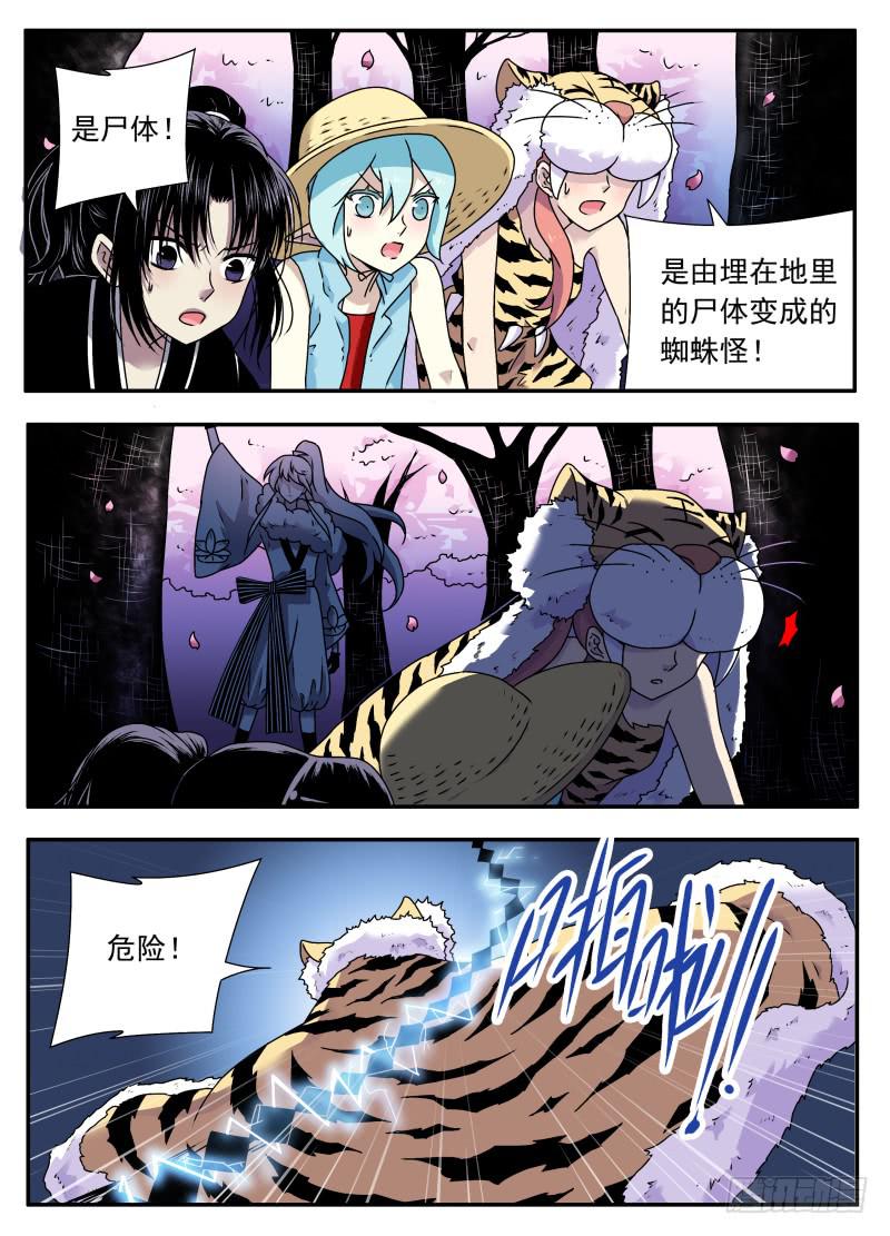 5.jpg