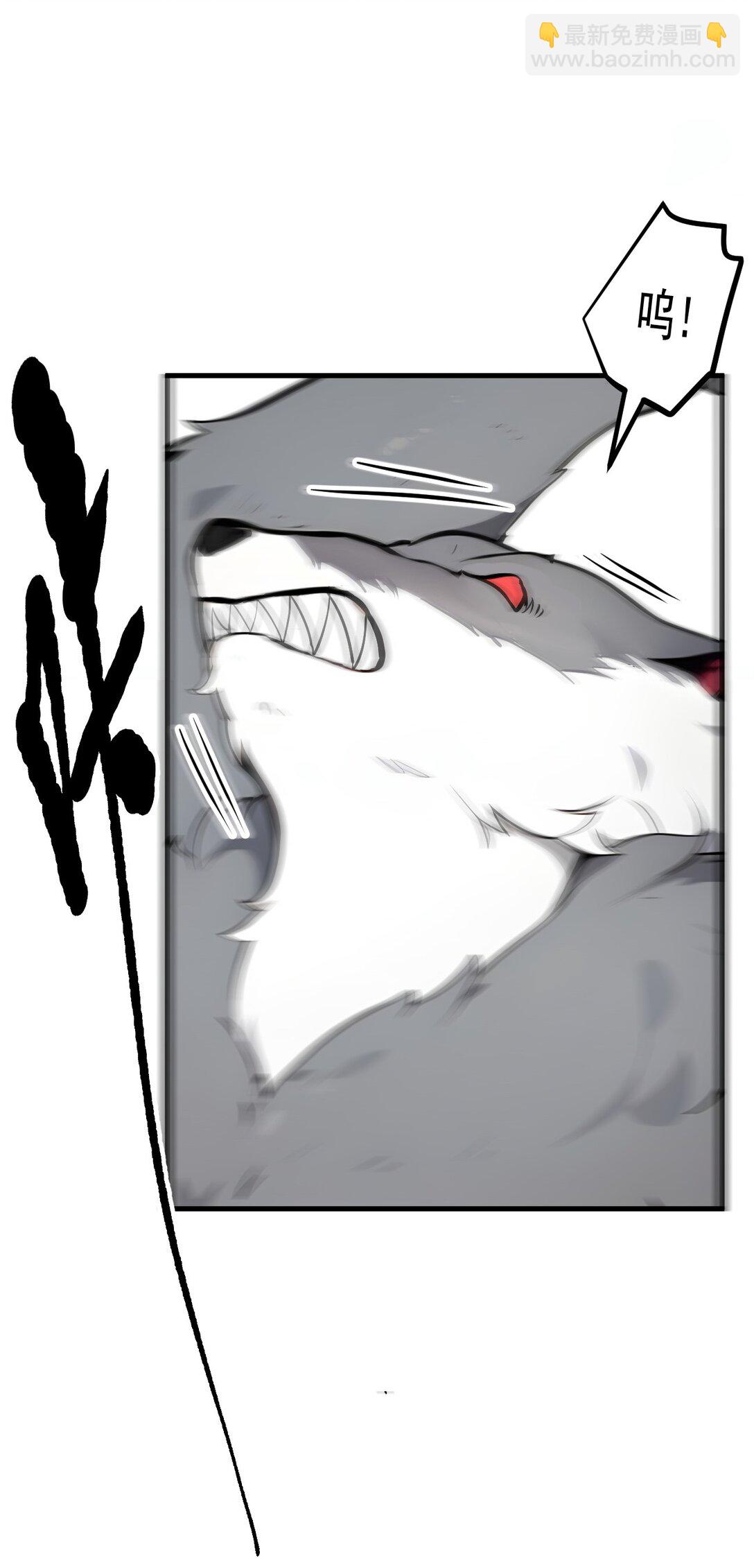 33.jpg
