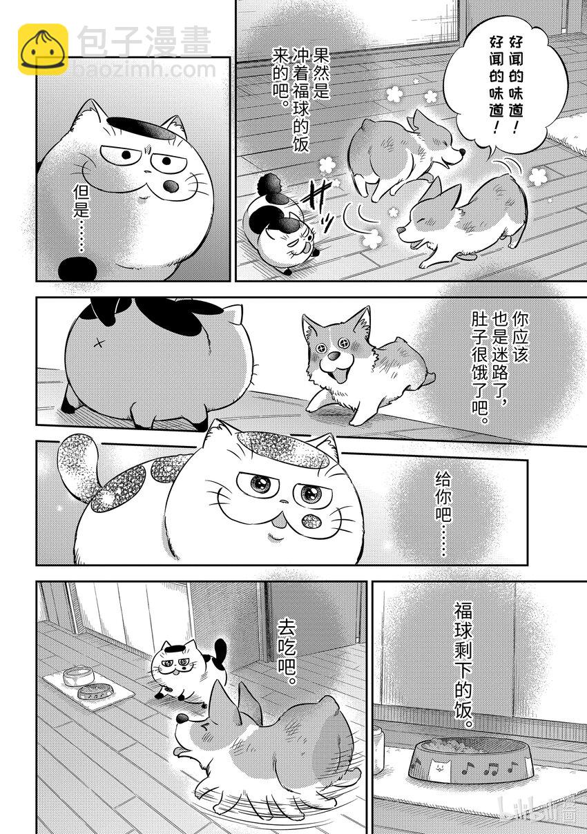 12.jpg