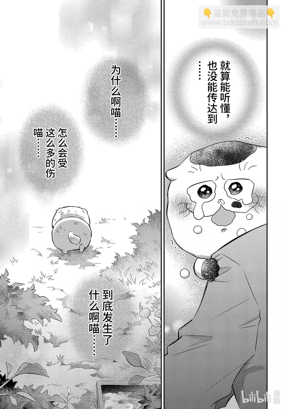 21.jpg