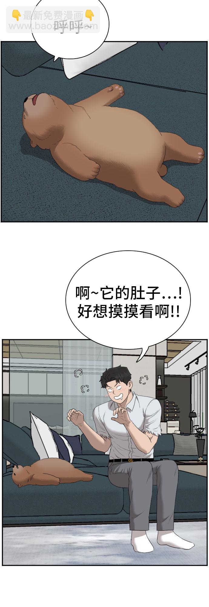41.jpg