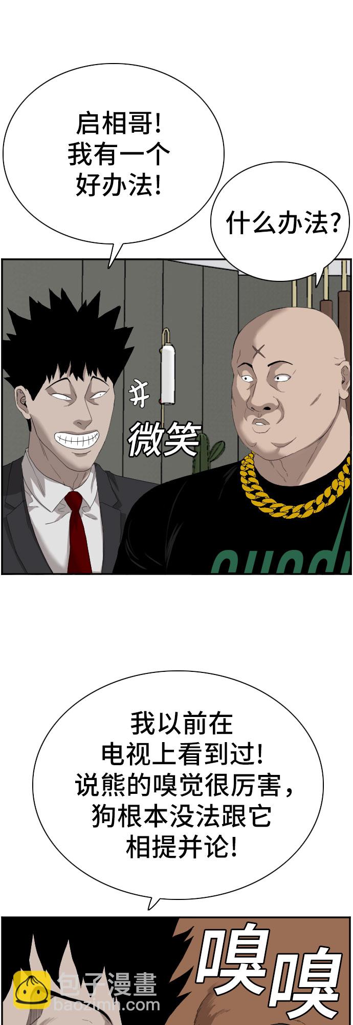 41.jpg