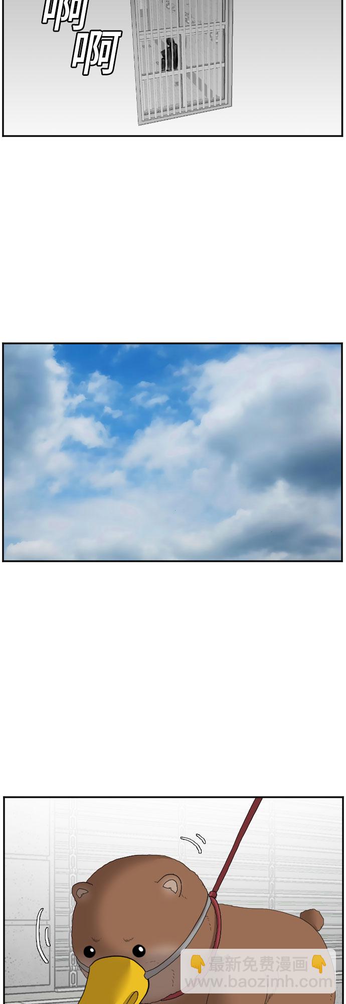 13.jpg