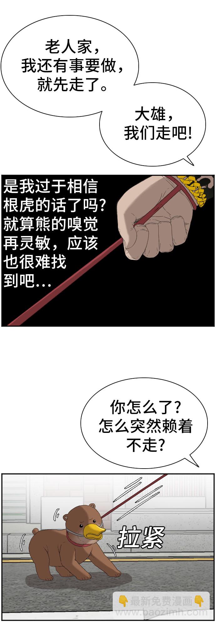 17.jpg