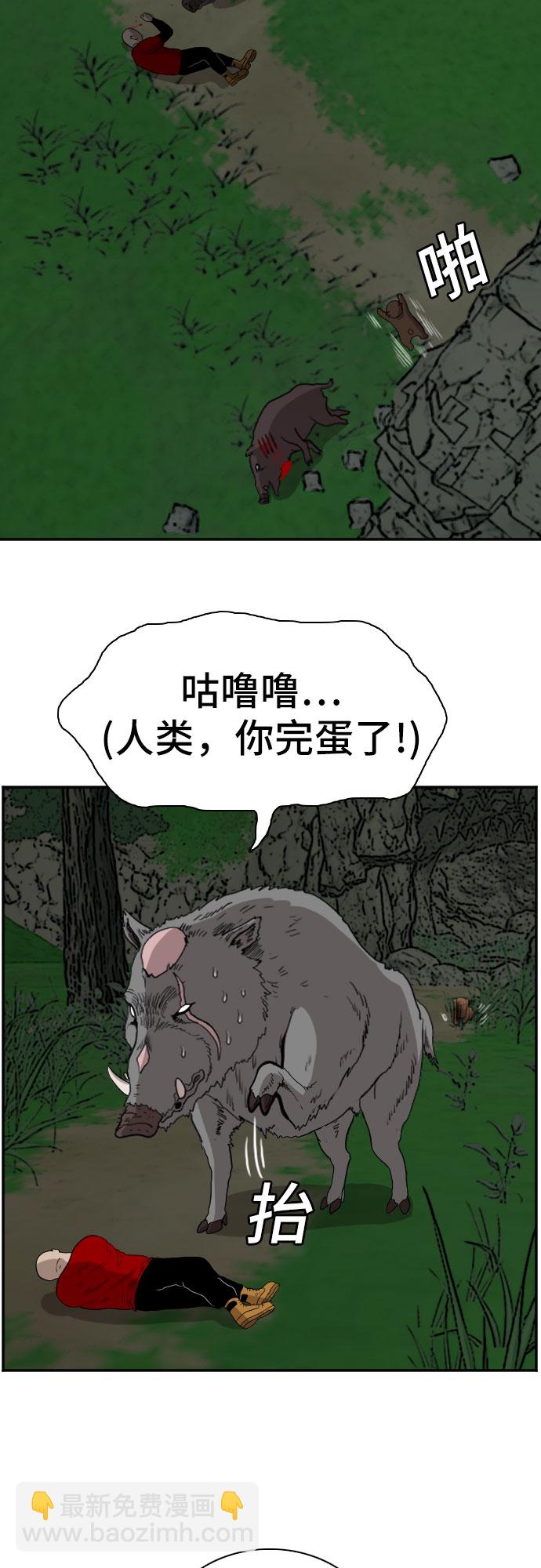 47.jpg