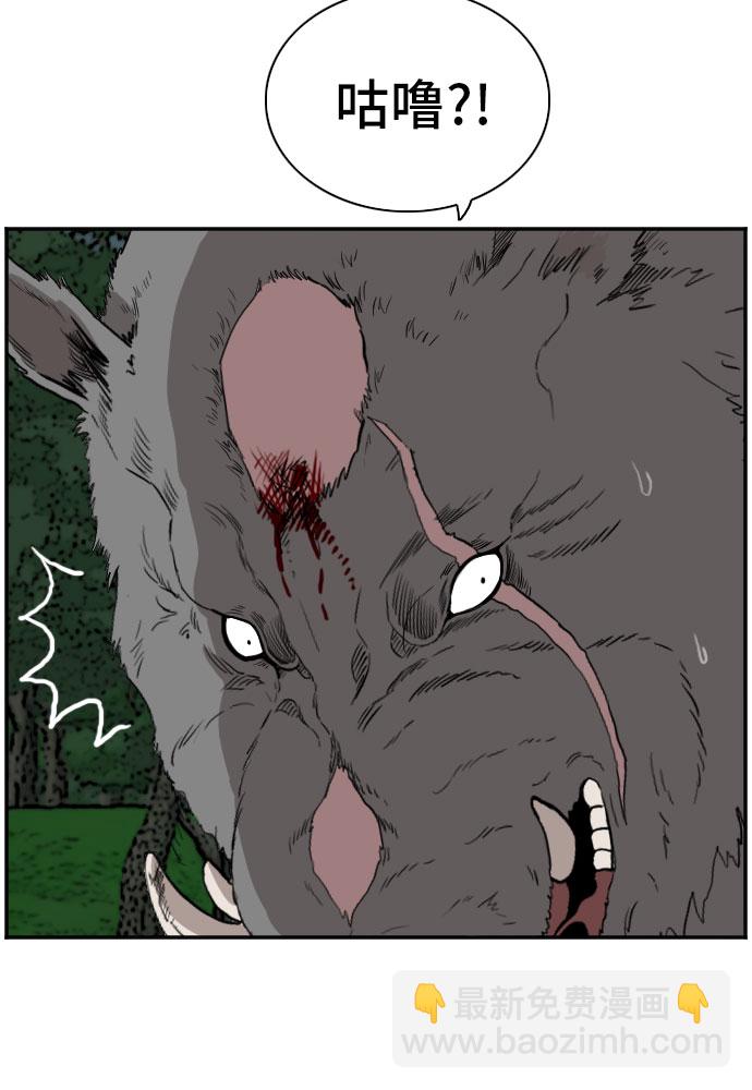 49.jpg