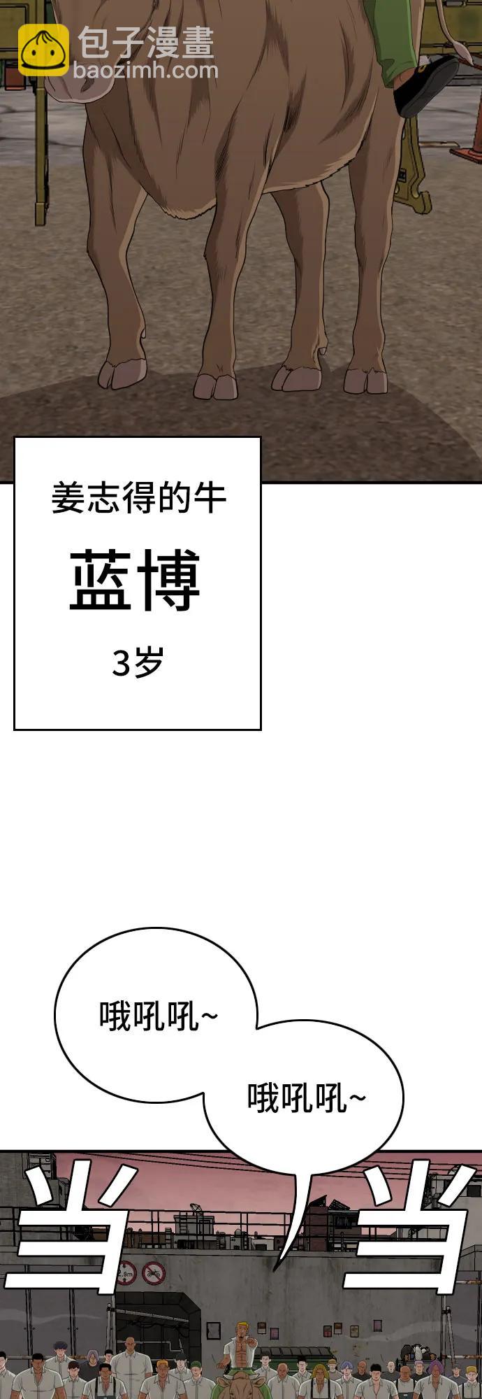 39.jpg