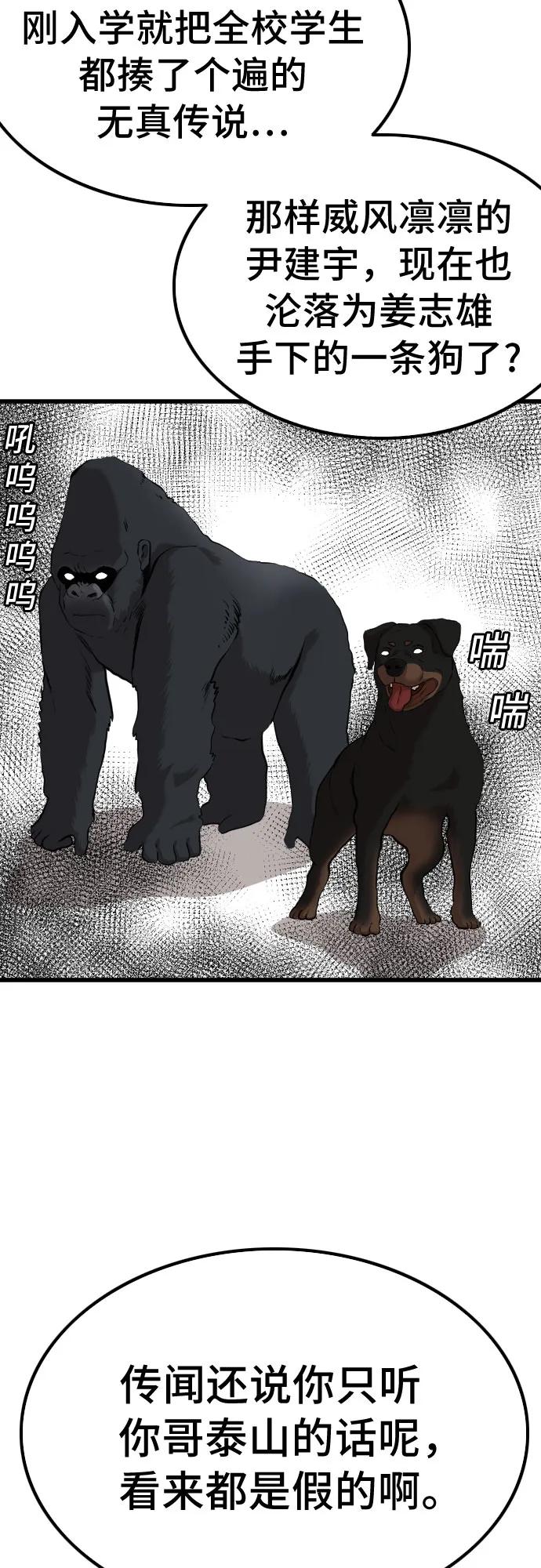 43.jpg