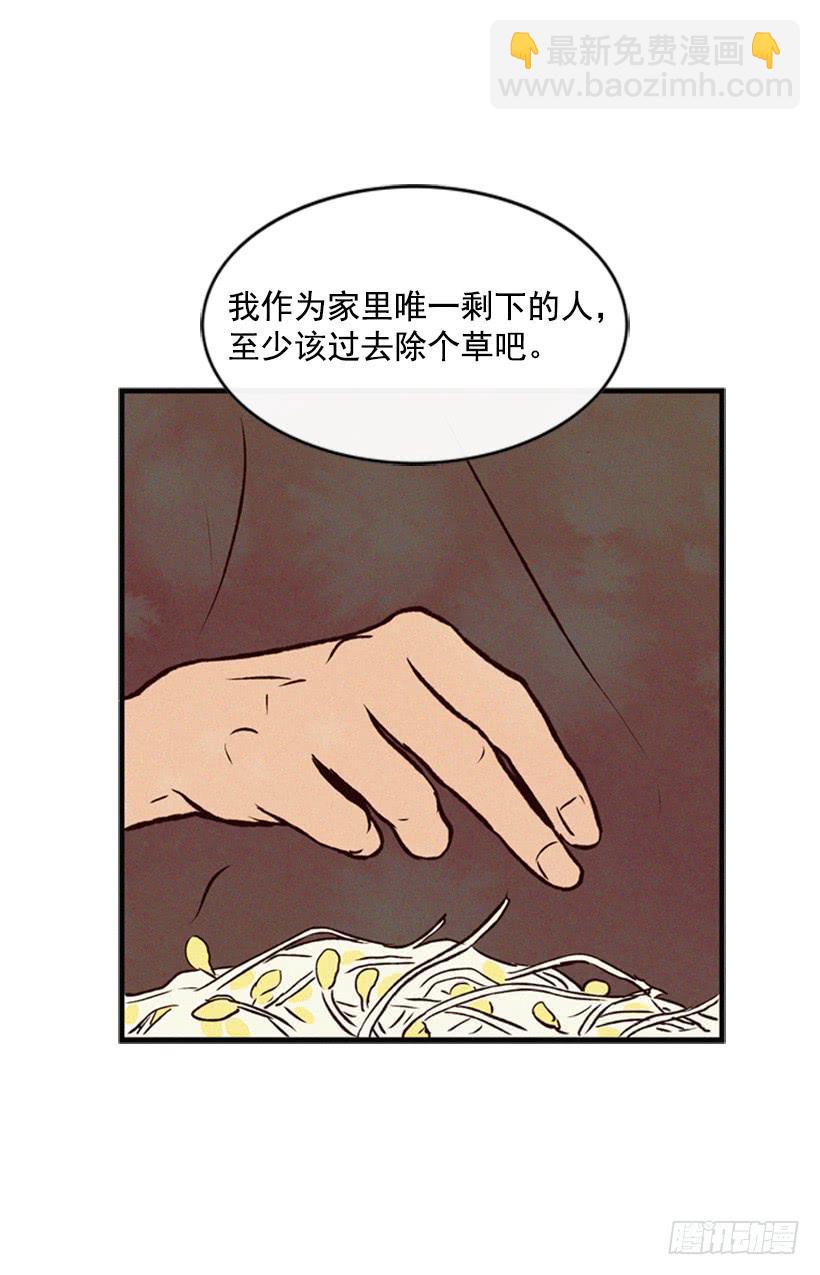 33.jpg