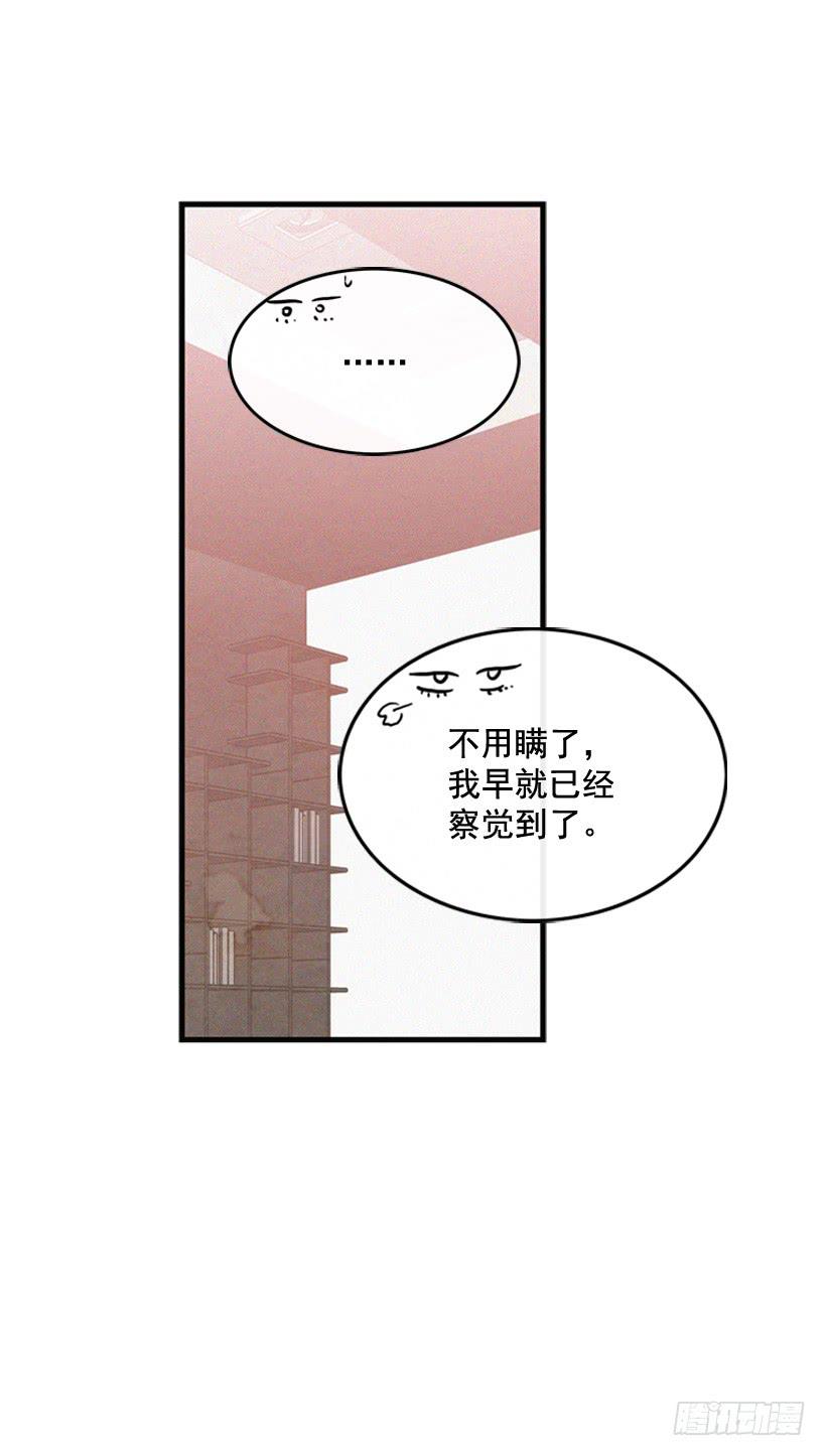 43.jpg