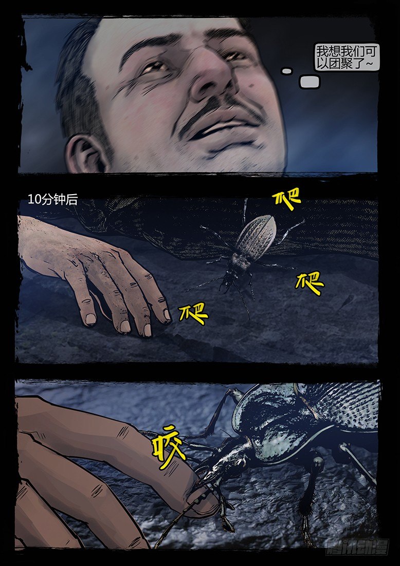 19.jpg