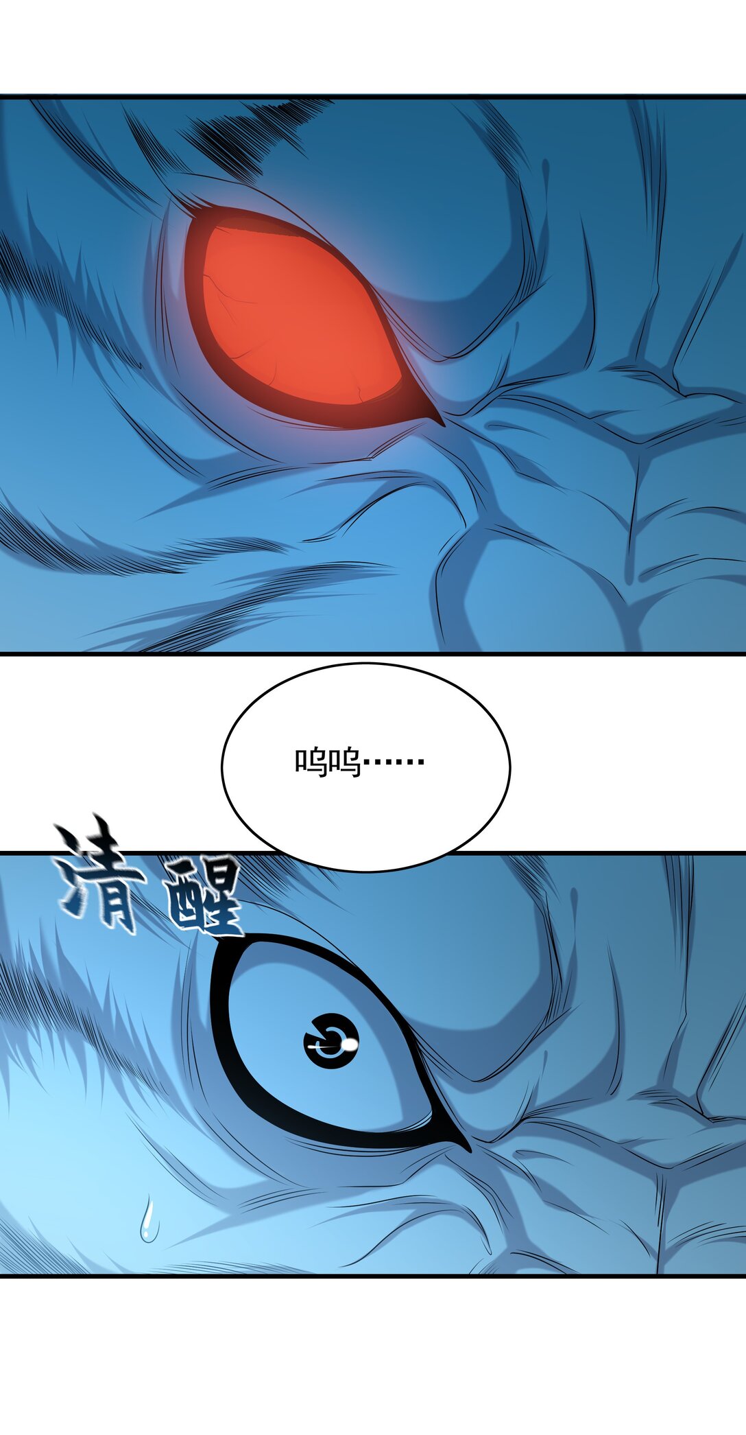 48.jpg