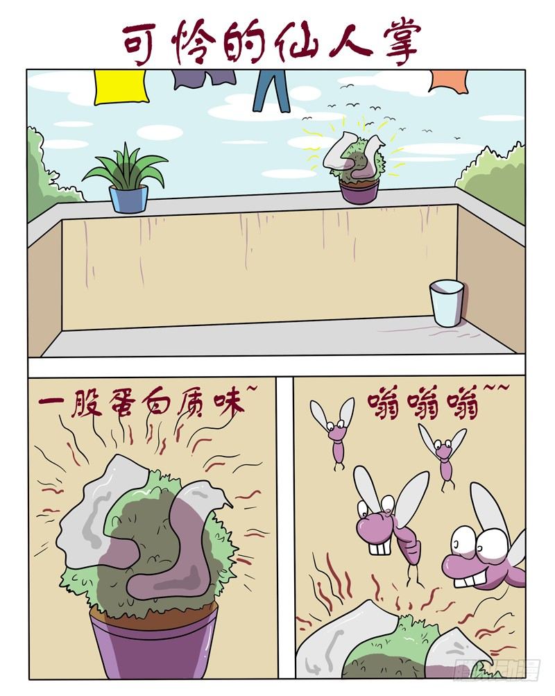 1.jpg