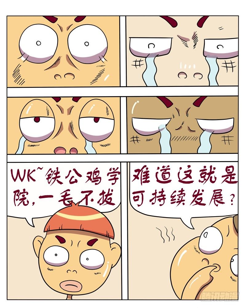5.jpg