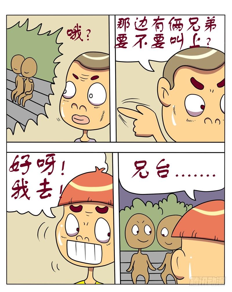 5.jpg
