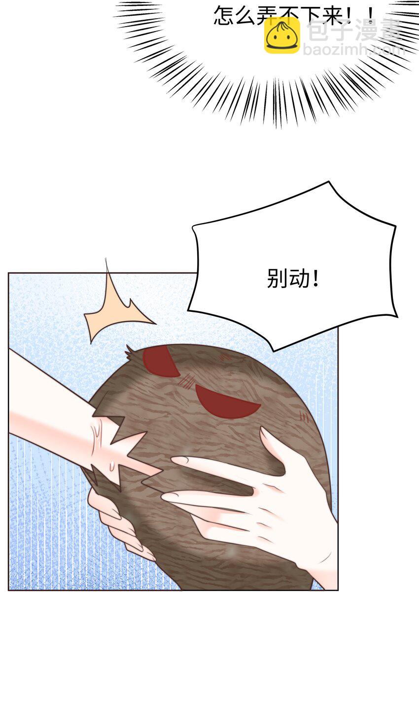 74.jpg