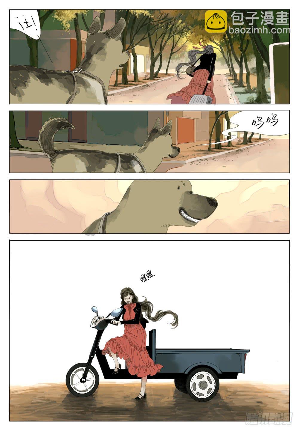 12.jpg