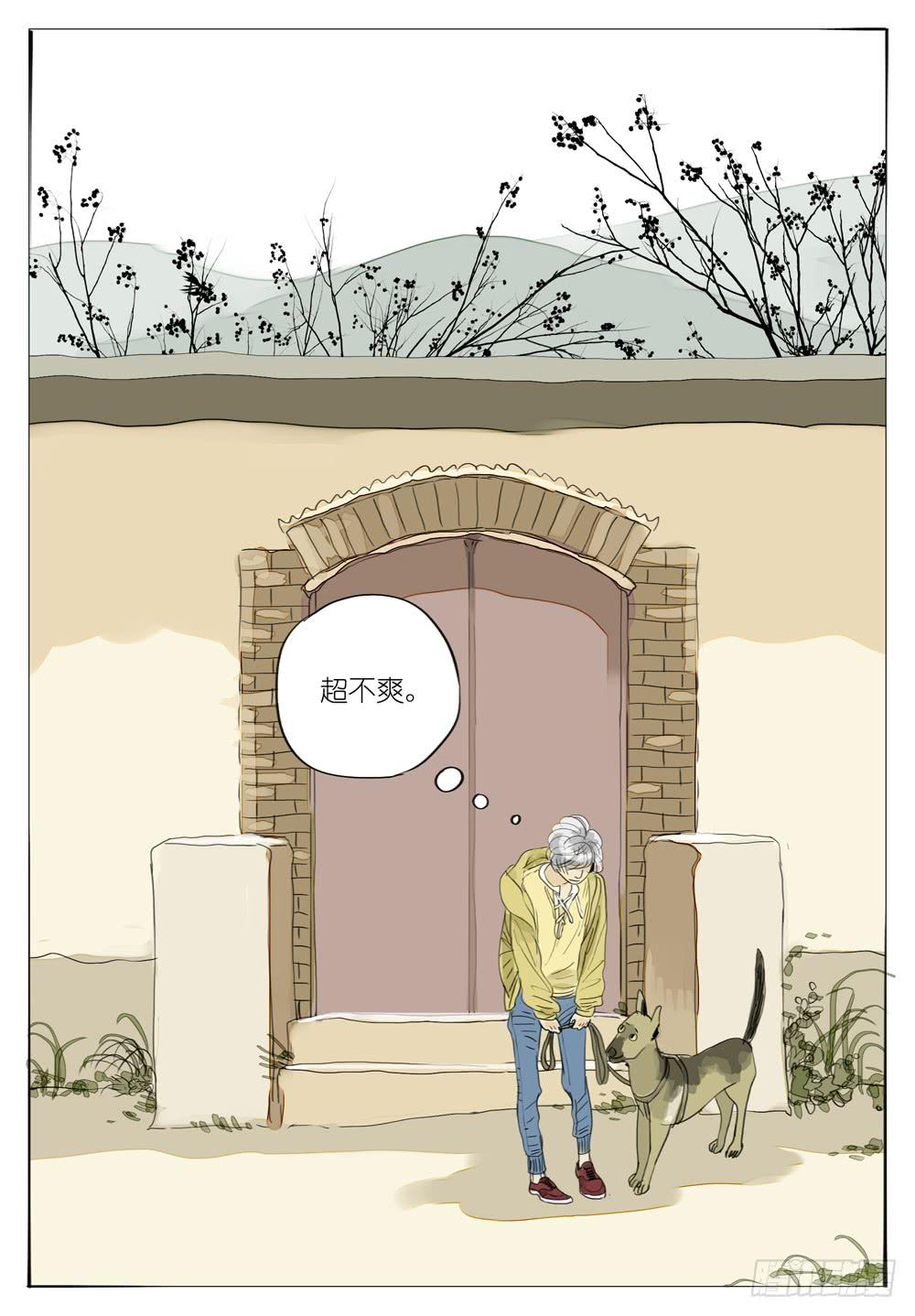 12.jpg