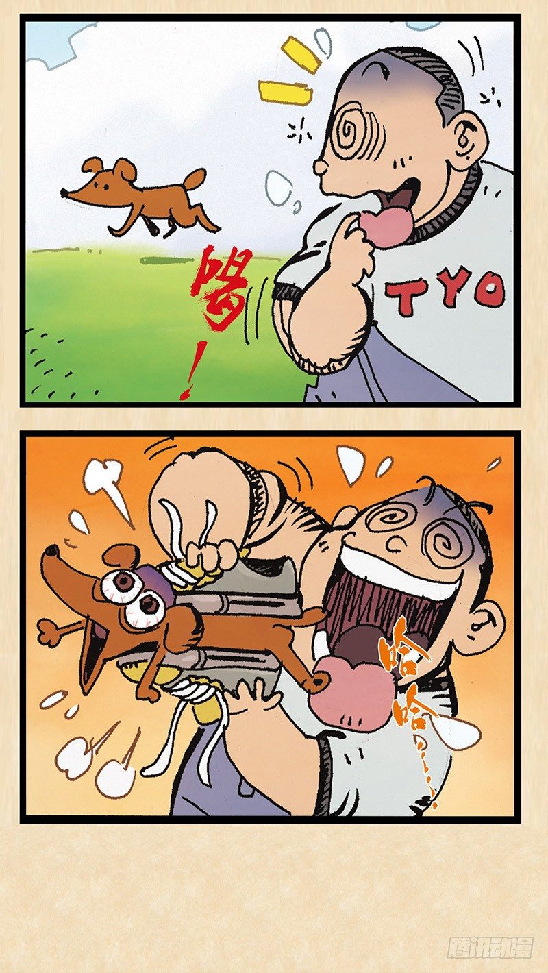 15.jpg