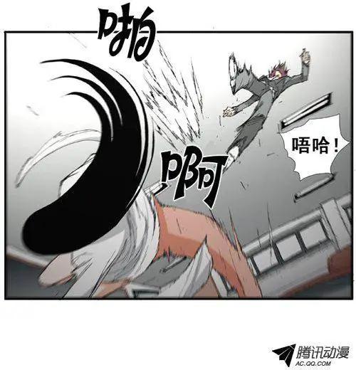 16.jpg
