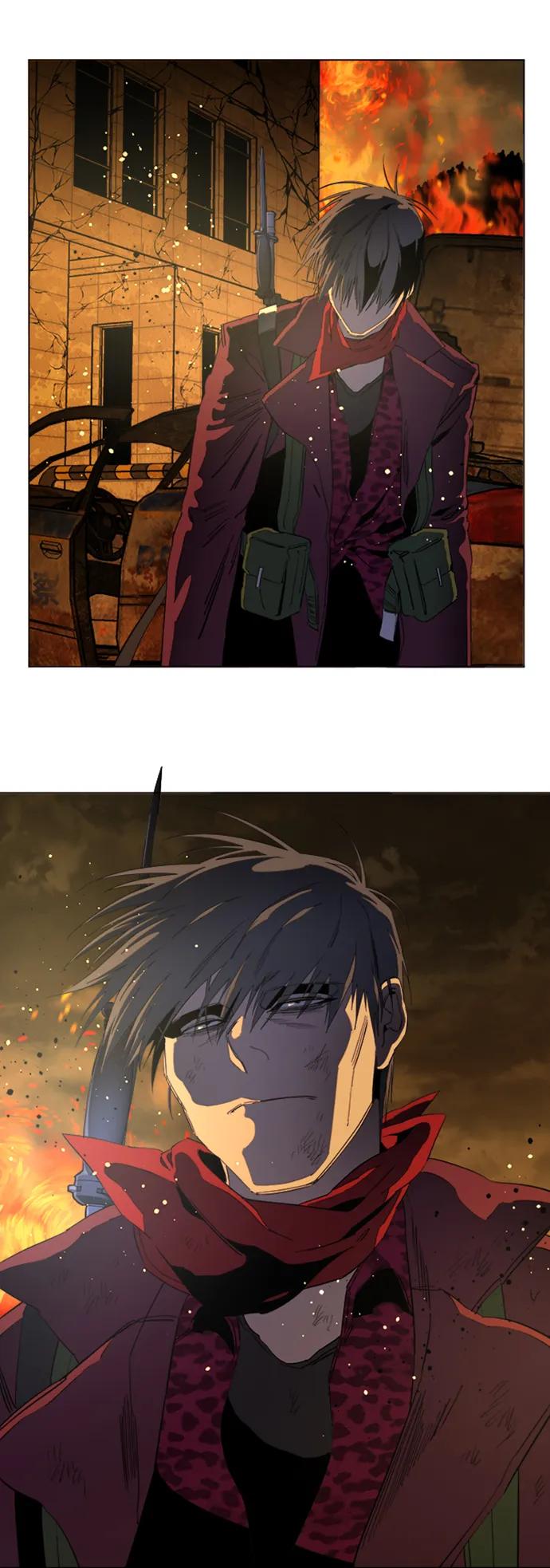 41.jpg