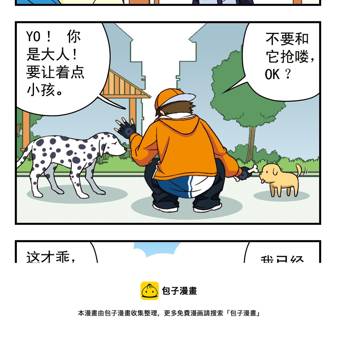 17.jpg