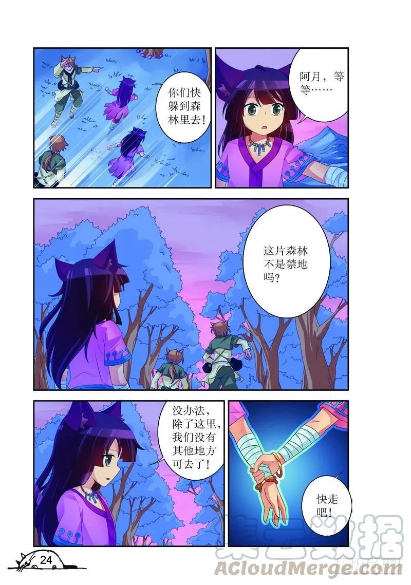 5.jpg
