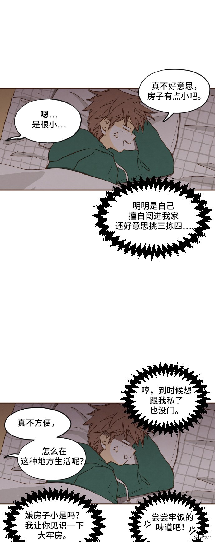 28.jpg