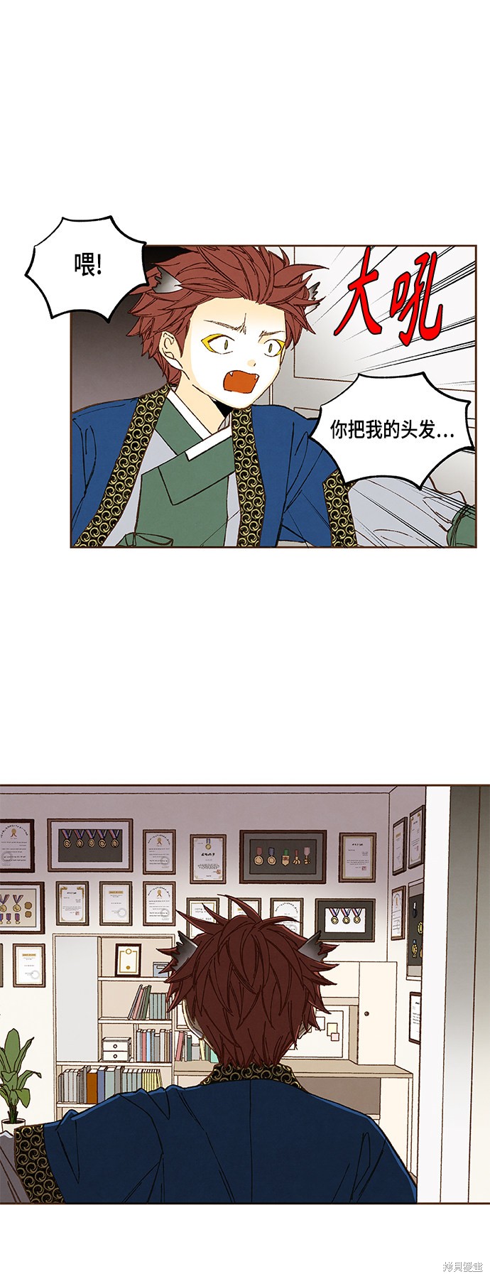35.jpg