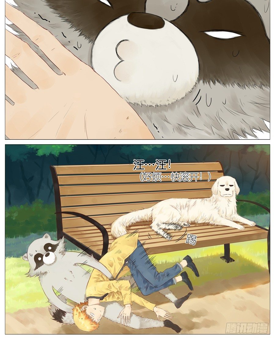 13.jpg