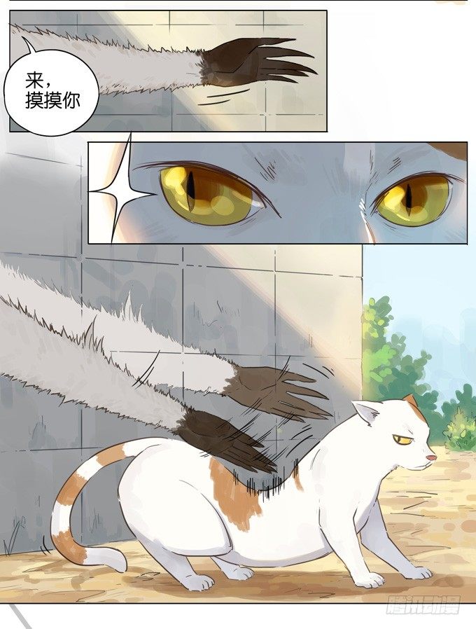 3.jpg