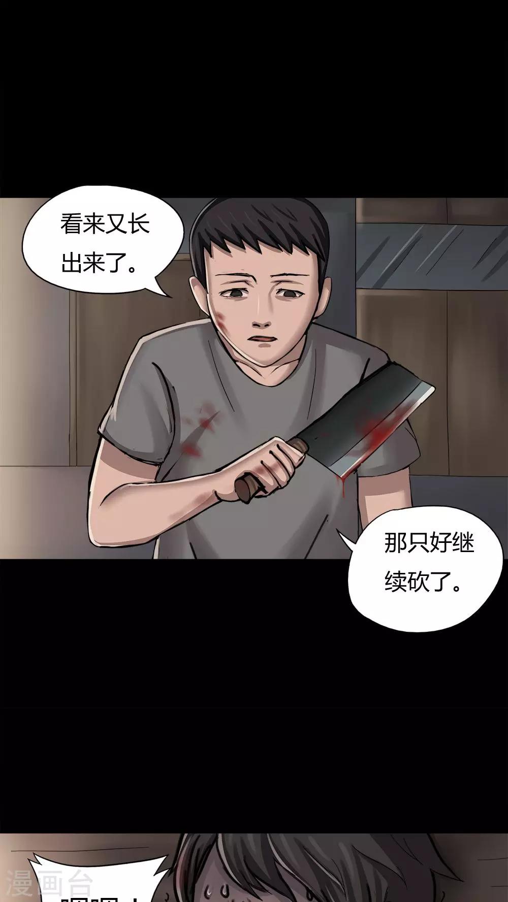 17.jpg