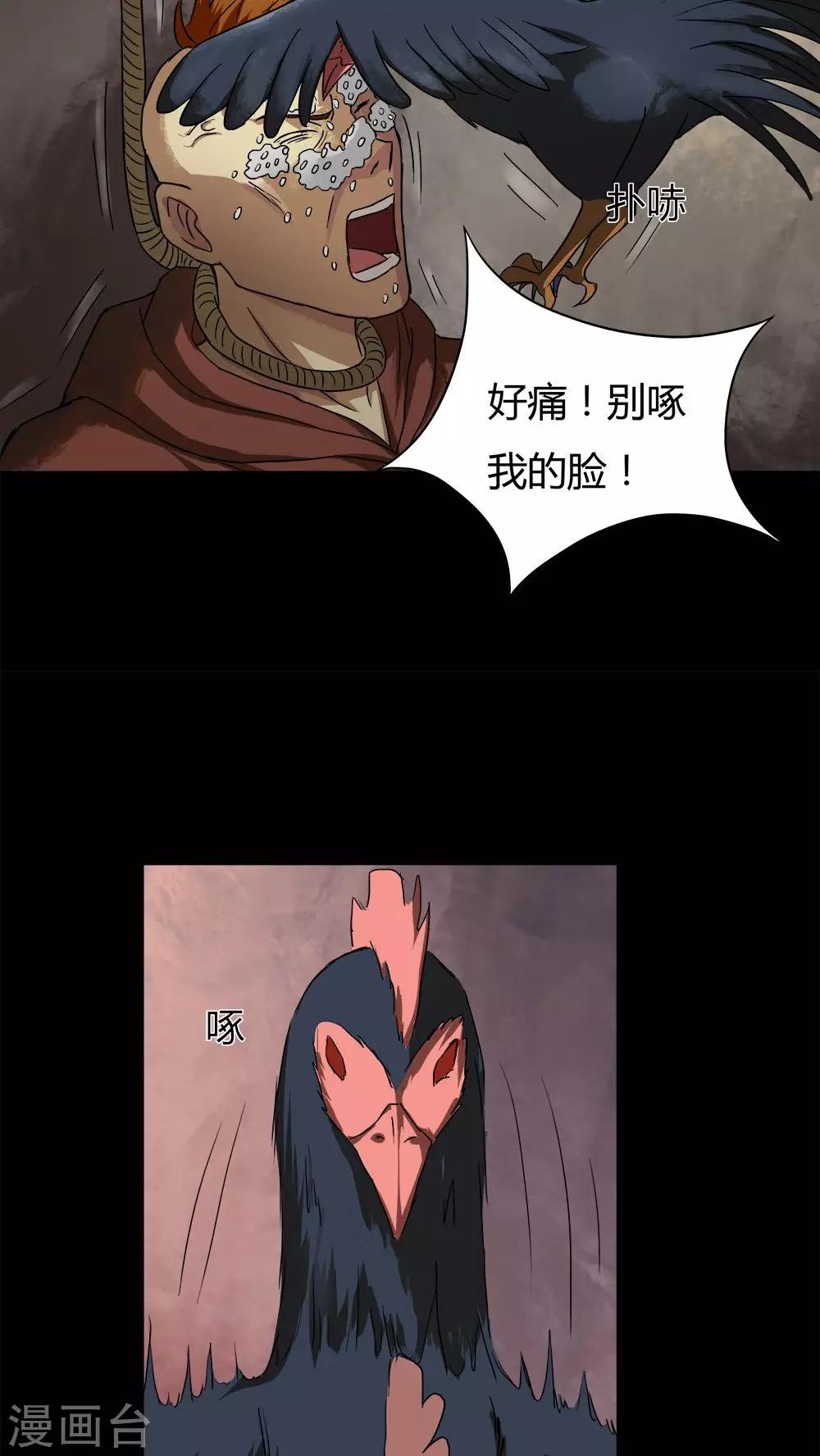 17.jpg