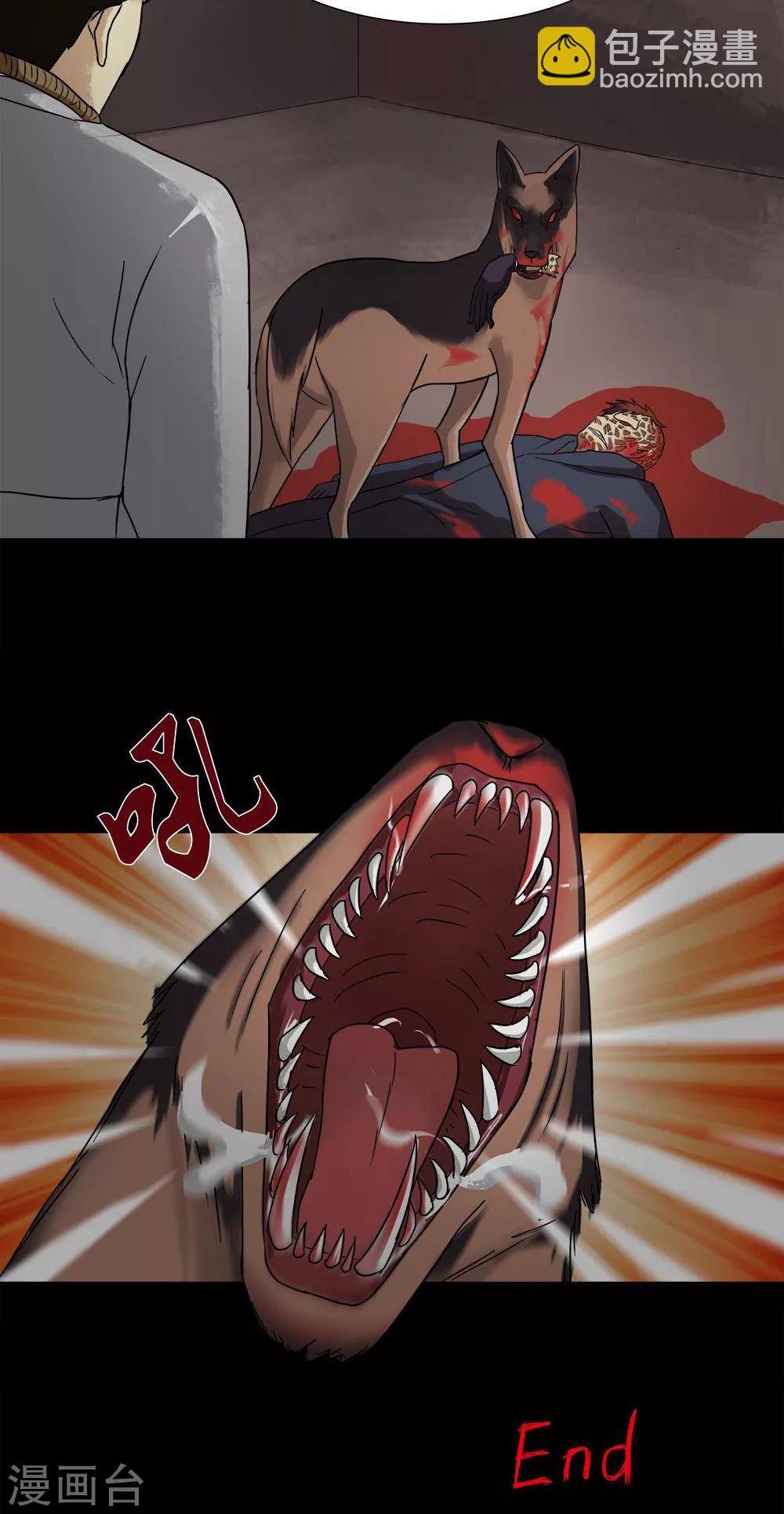 20.jpg