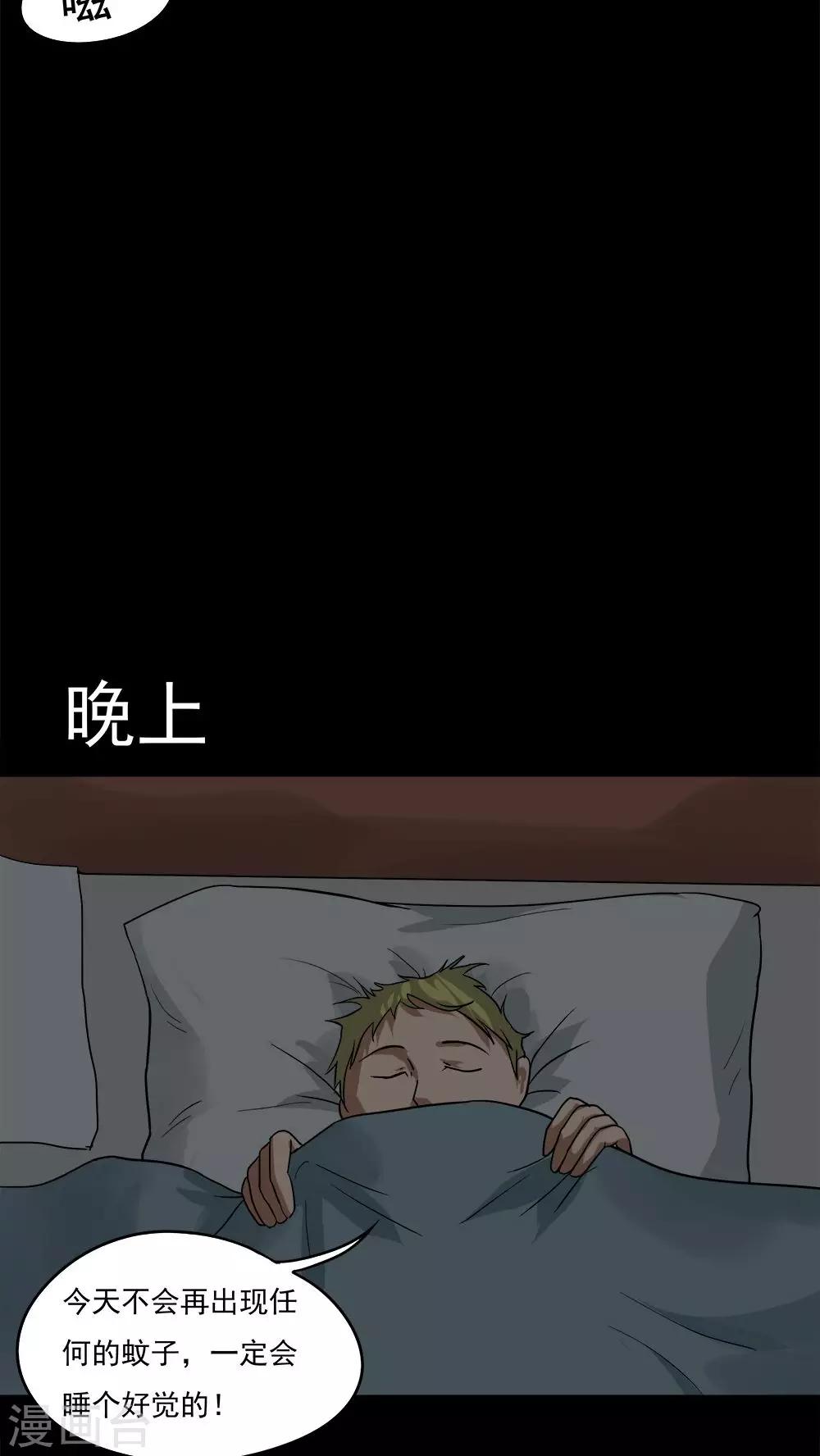 19.jpg