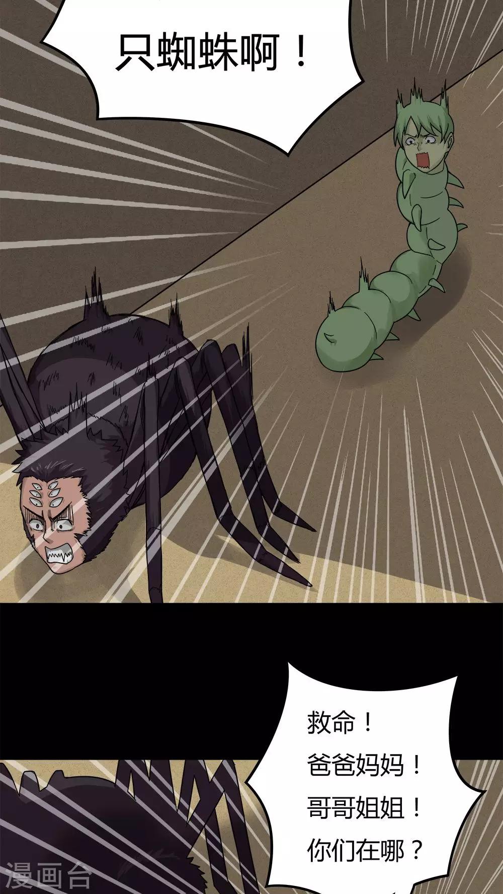 13.jpg