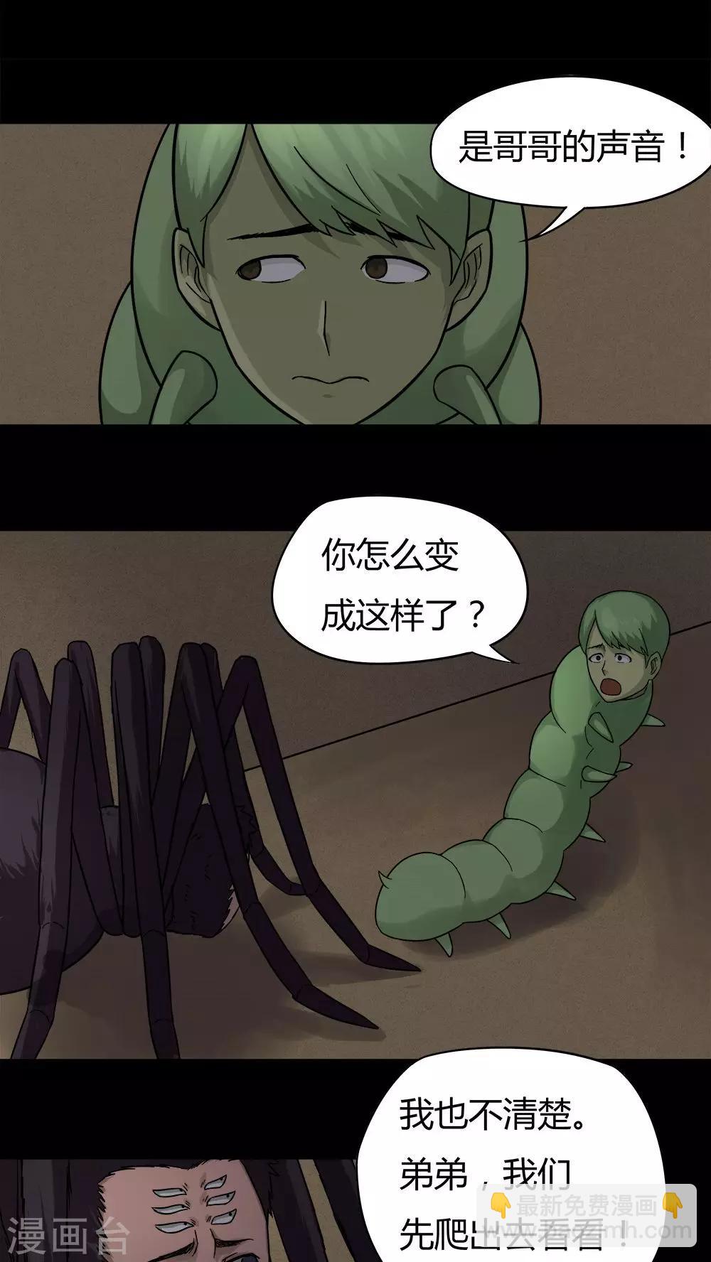 15.jpg