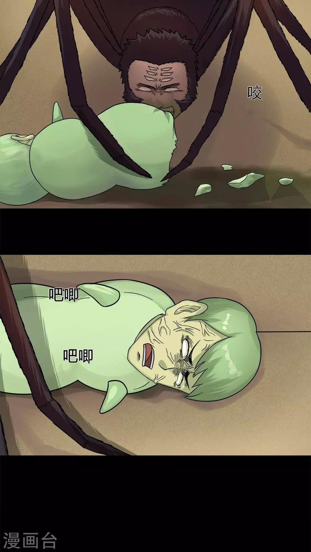 12.jpg