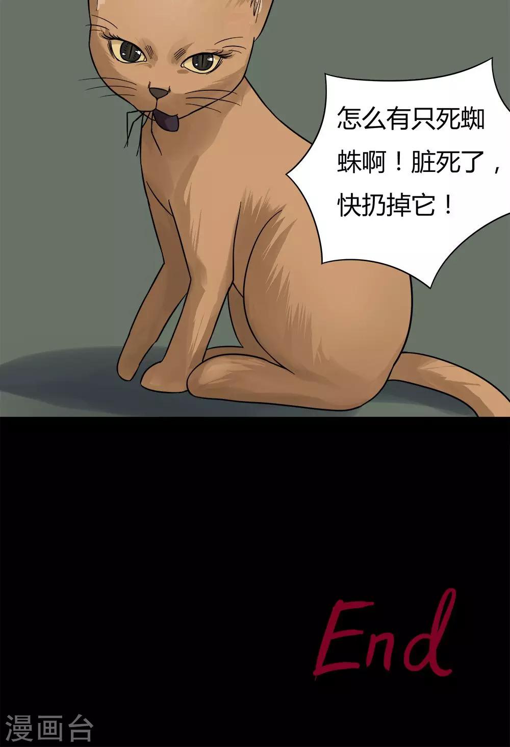 20.jpg