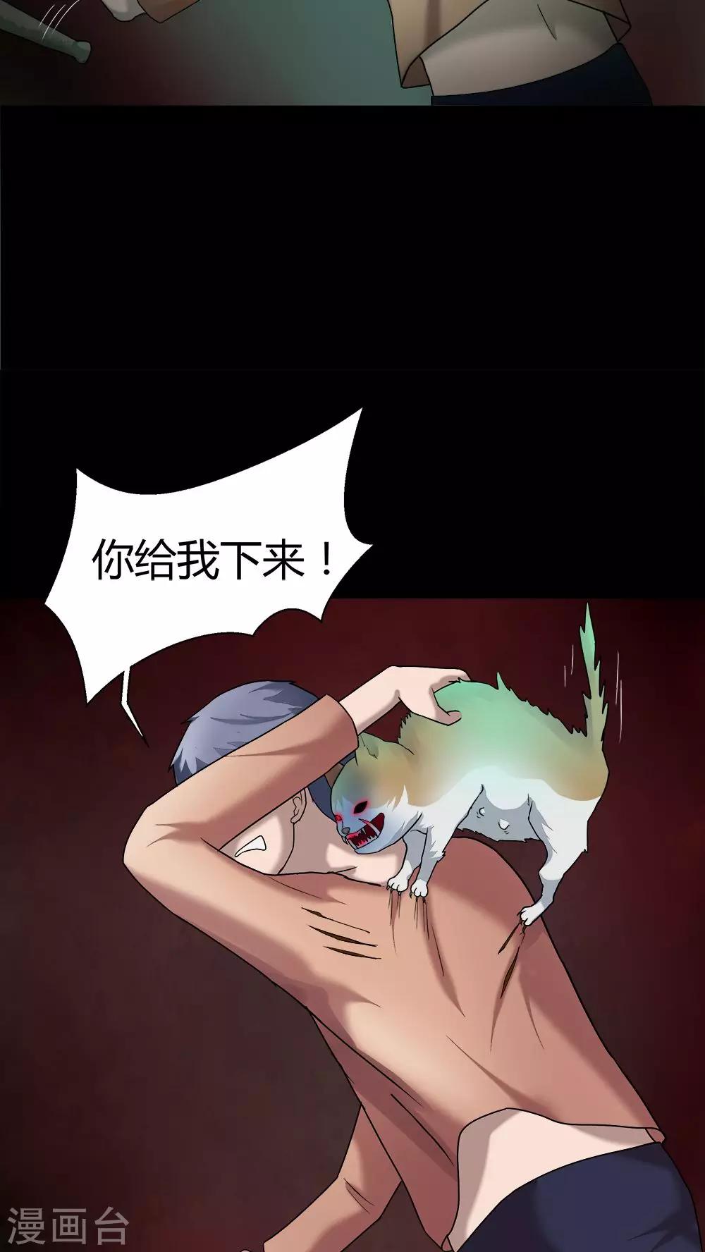 19.jpg