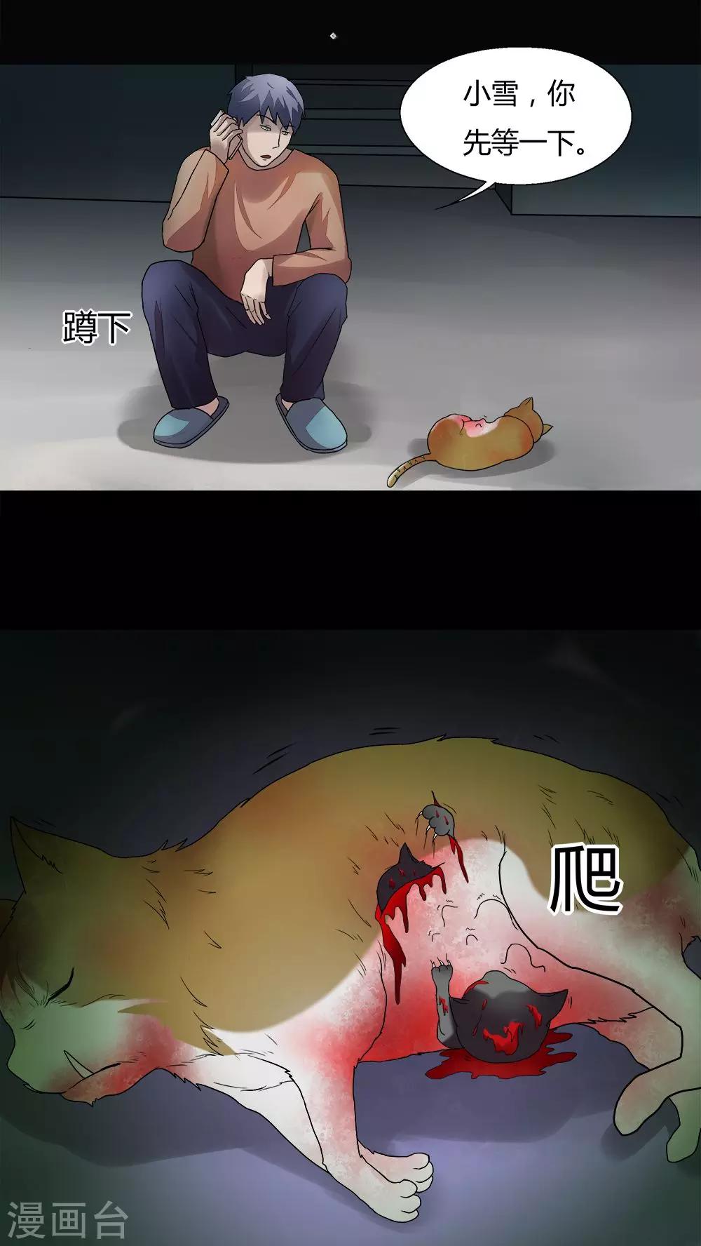 23.jpg