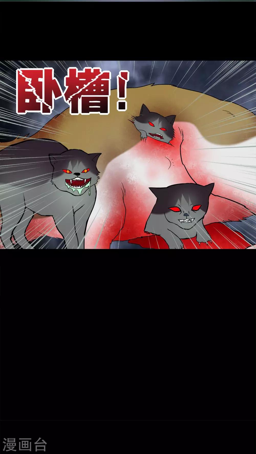 24.jpg