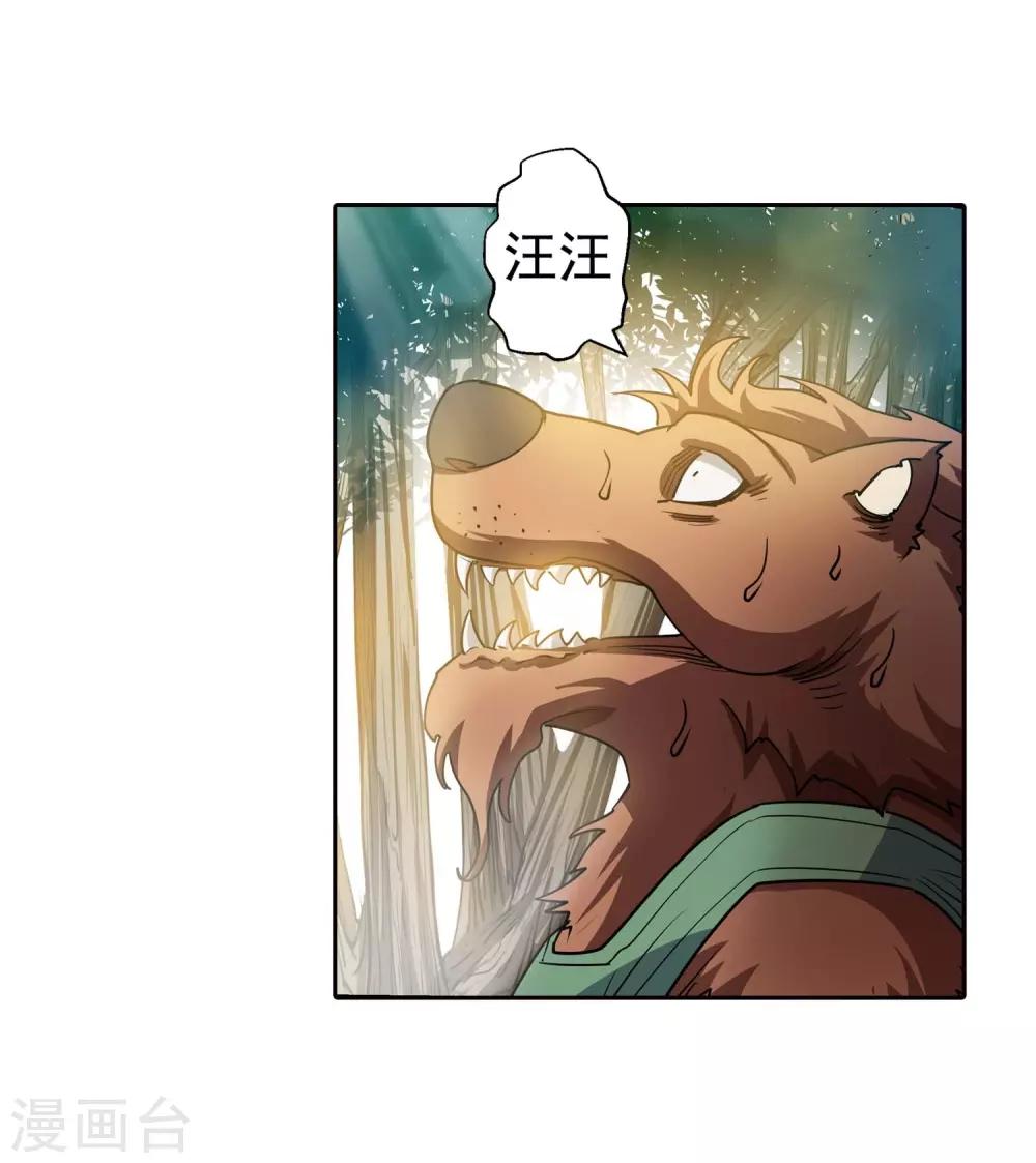 40.jpg