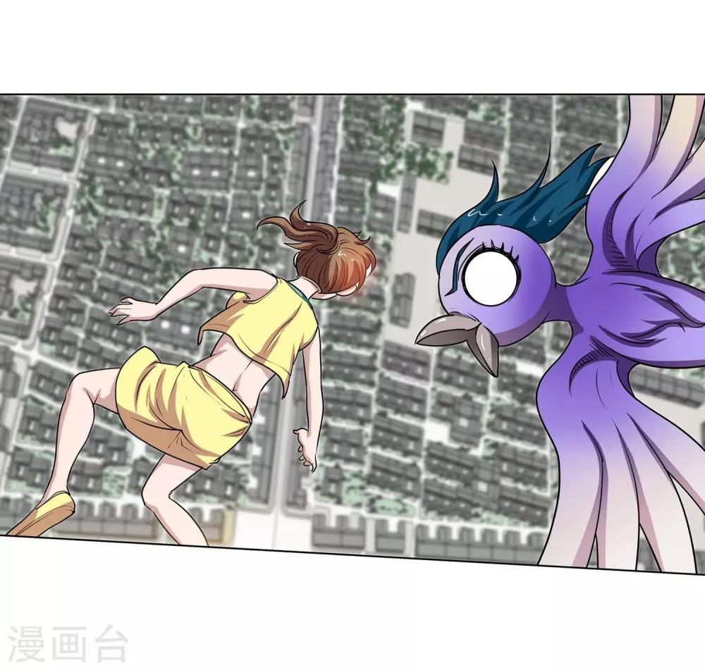 41.jpg