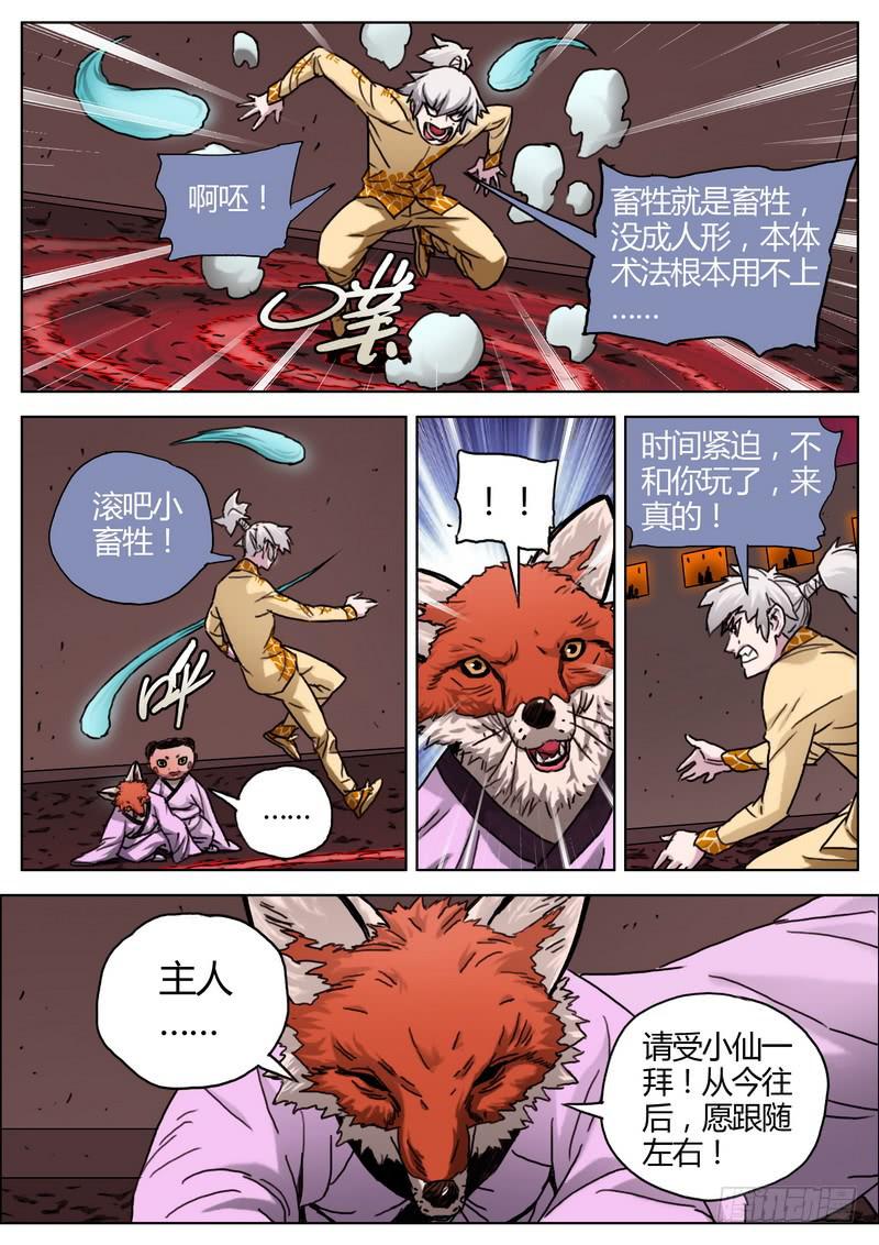 5.jpg