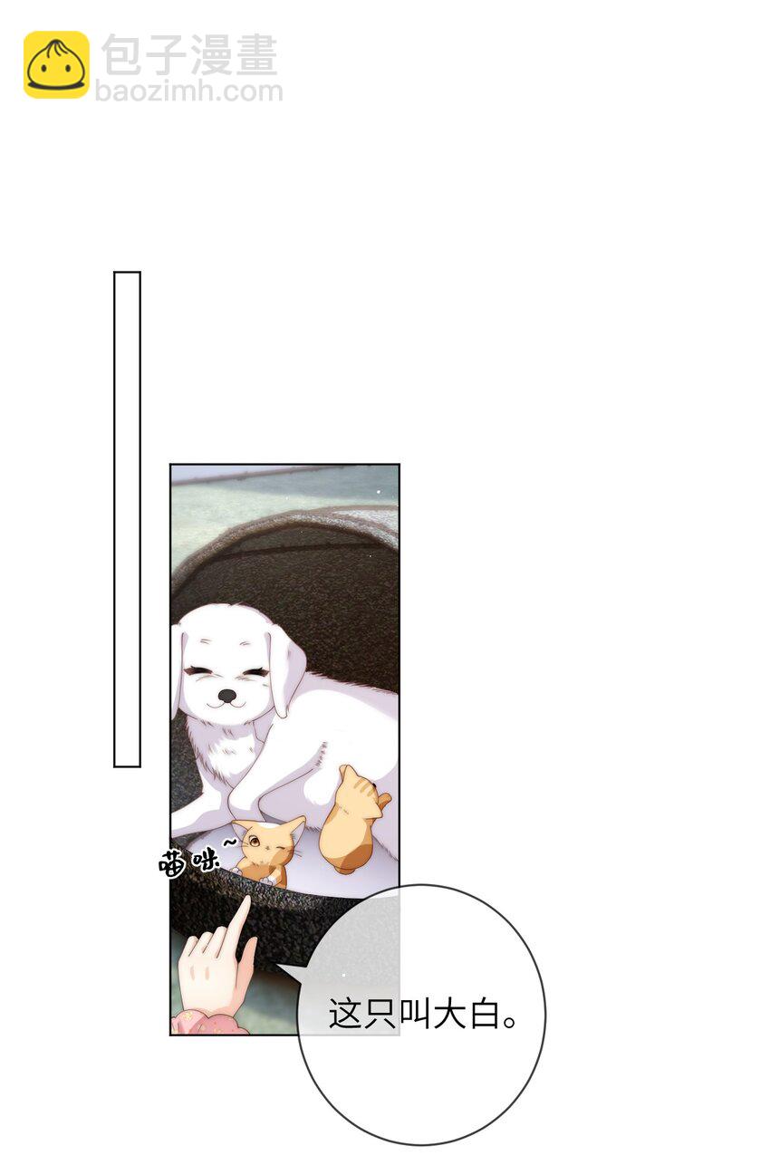32.jpg
