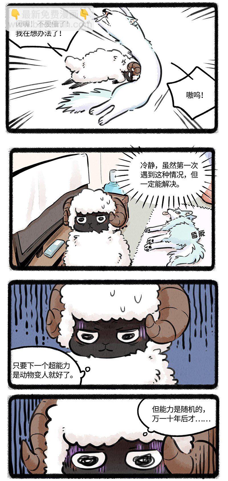 14.jpg