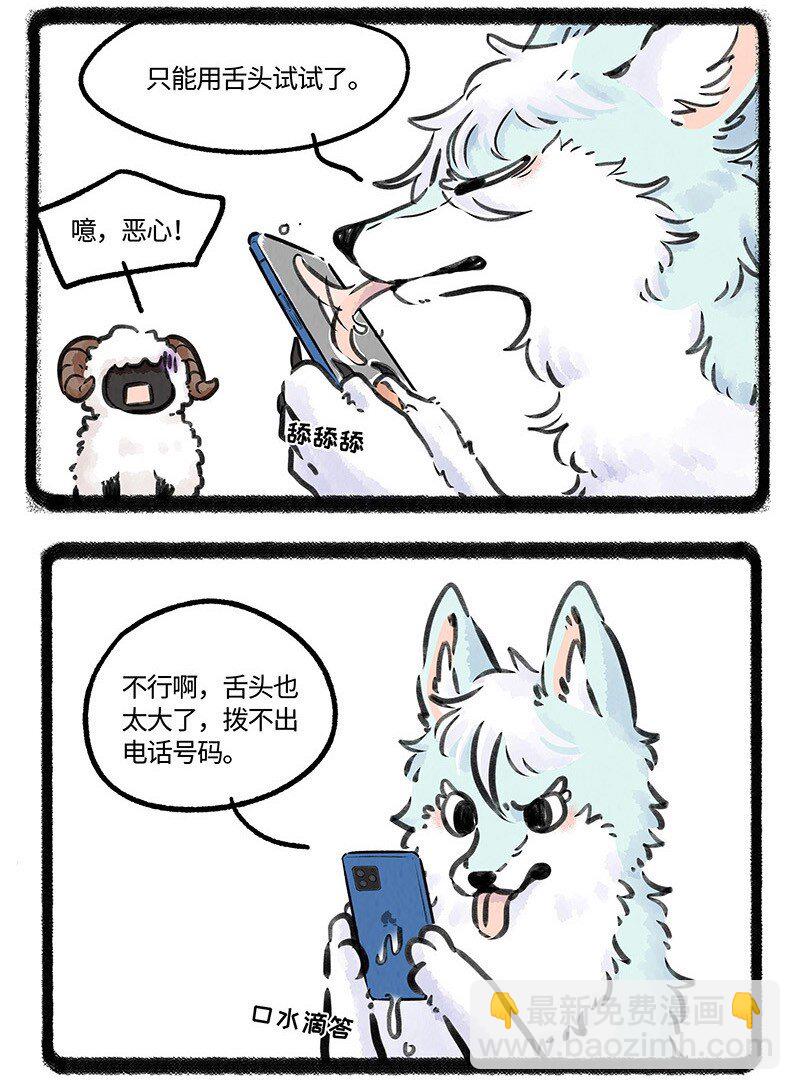 17.jpg
