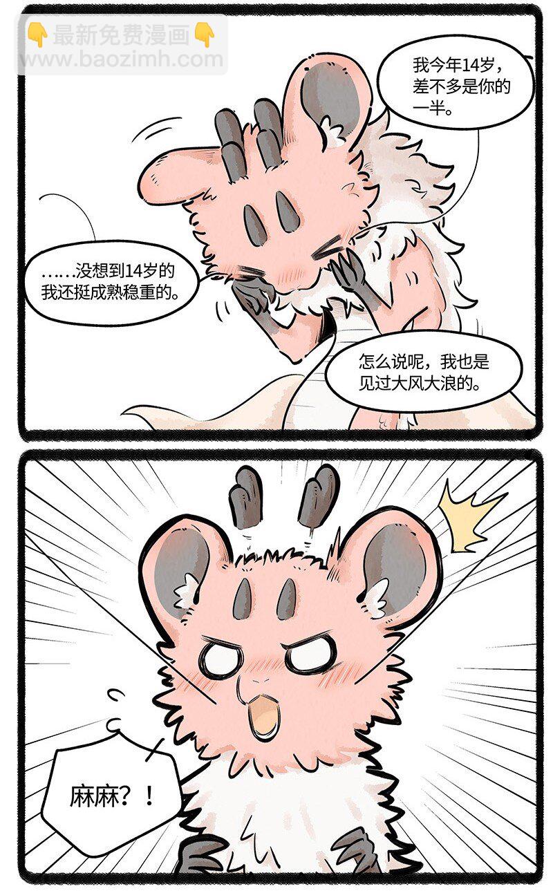 13.jpg